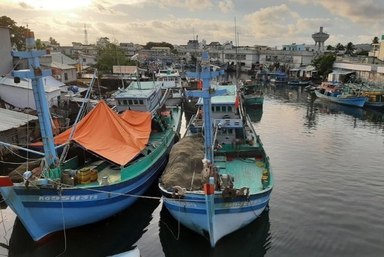 MoIT proposes to compensate fuel prices for fishers by State budget ảnh 1