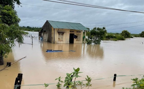 Heavy rains flood 50 houses, more than 1,000 hectares of crops in Dak Lak ảnh 1