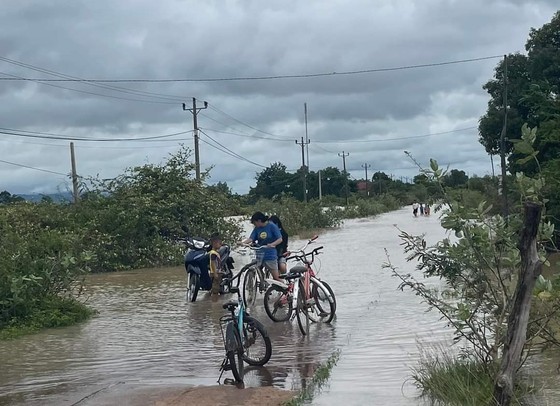 Heavy rains flood 50 houses, more than 1,000 hectares of crops in Dak Lak ảnh 2