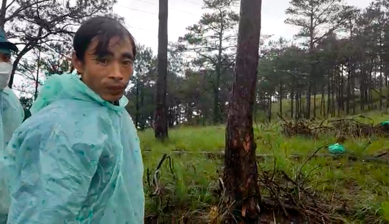 Police arrest gang carrying out largest-ever deforestation in Da Lat ảnh 2