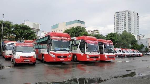 Bus fares decline sluggishly ảnh 1