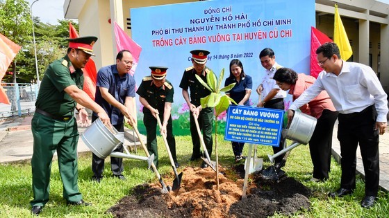 More barringtonia asiatica trees given by Truong Sa Island planted in HCMC ảnh 2