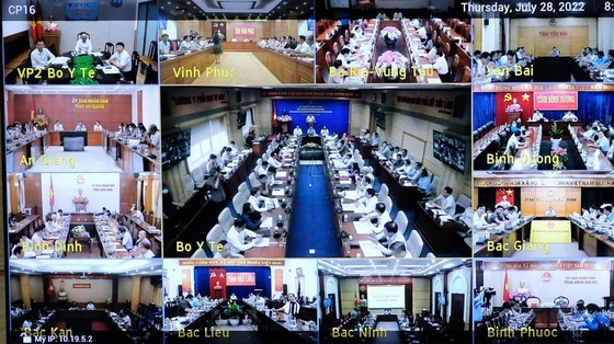 Health Ministry proposes to PM specific policies to cope with difficulties ảnh 3