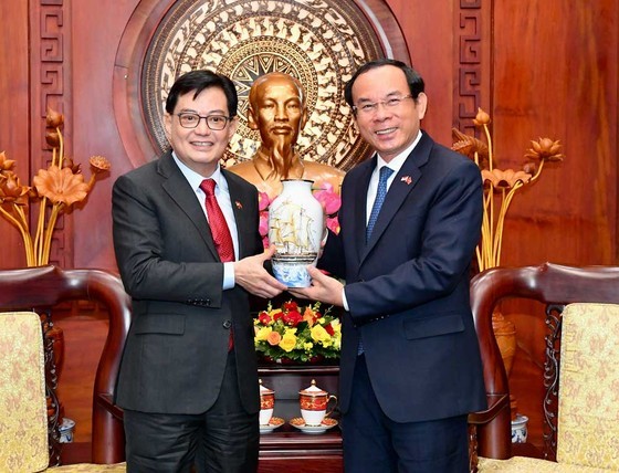 HCMC, Singapore promote cooperation for sustainable development ảnh 4