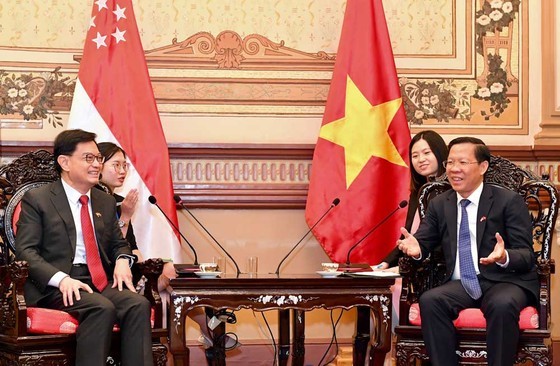 HCMC, Singapore promote cooperation for sustainable development ảnh 6