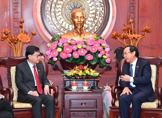 HCMC, Singapore promote cooperation for sustainable development ảnh 2