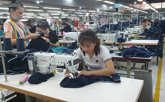 Garment-textile sector must go green to boost exports to EU: experts ảnh 1