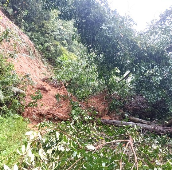 Three people dead and missing, thousands of houses damaged in aftermath of typhoon Noru ảnh 6