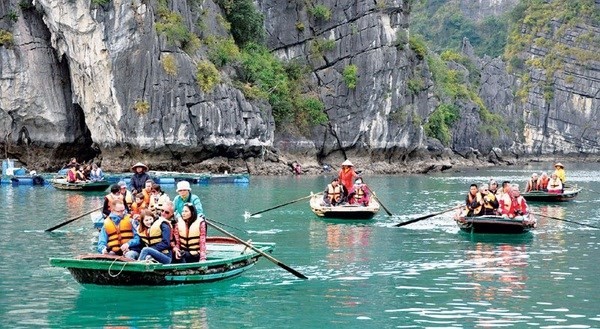 Vietnam enjoys strong rise in Indian tourist number ảnh 2