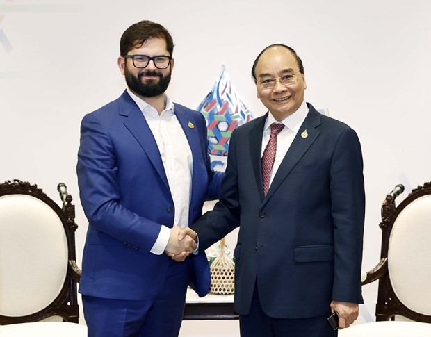 President holds bilateral meetings on sidelines of APEC economic leaders meeting ảnh 1