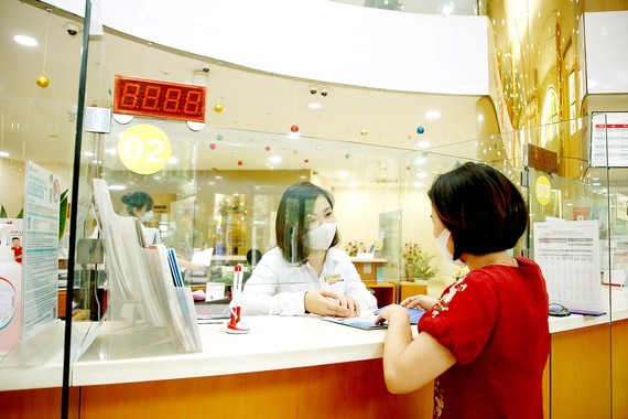Vietnamese banks facing bad debt increases ảnh 1