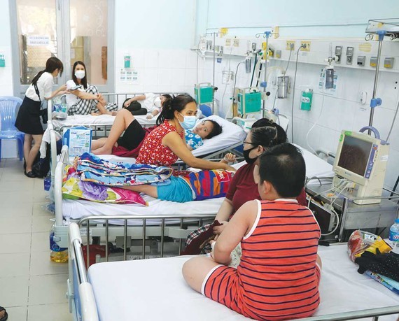 Hand-foot-mouth, dengue cases at worrying level nationwide ảnh 1