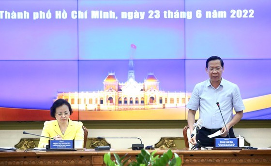HCMC determinedly addressing issues in urban government establishment ảnh 2