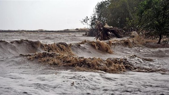 Mekong Delta reporting serious erosion on sea dyke, river embankment ảnh 1