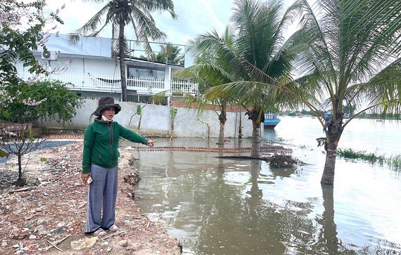 Saigon riverbank erosion arousing deep anxiety in local residents ảnh 1