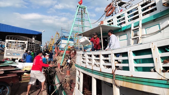 Fishermen eagerly rushing to sea thanks to fuel price drop ảnh 1