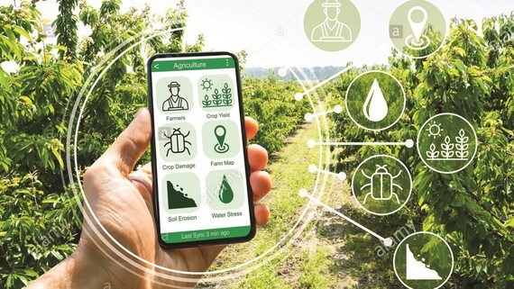 Vietnam striving to develop digital agriculture ảnh 1