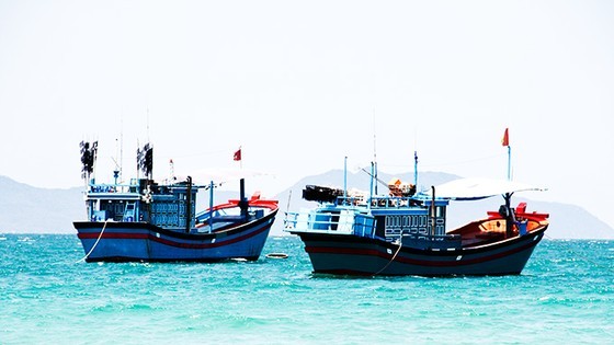 Deputy PM orders intensified handling of IUU fishing at sea, ports  ảnh 1