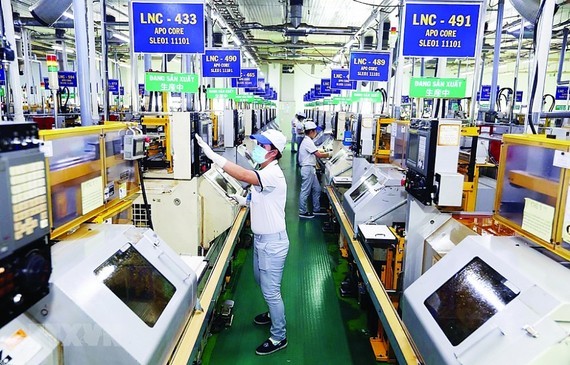 Domestic businesses in precarious situation ảnh 1