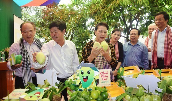 Modern co-ops continue to thrive in Vietnam ảnh 1