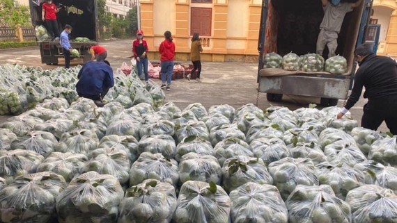 Capital “rescues” unsellable produce from pandemic-stricken province ảnh 1