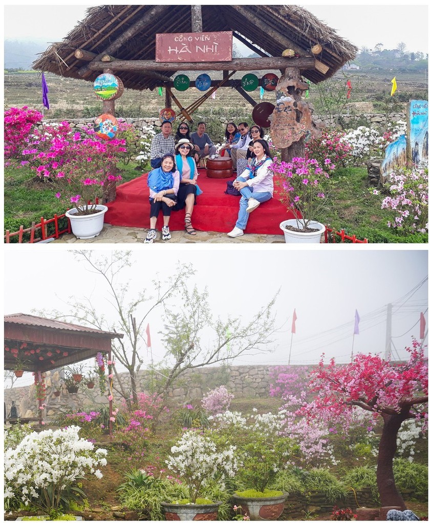 “Rhododendron school” a tourism hit in Lao Cai ảnh 10