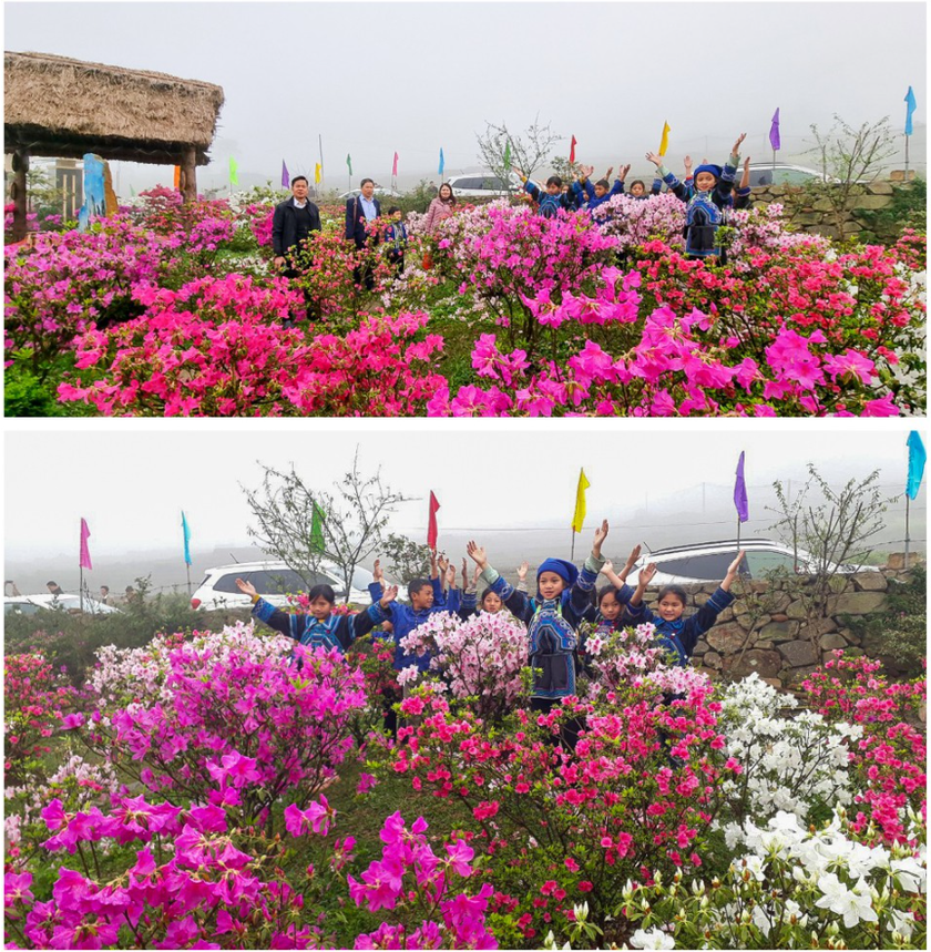 “Rhododendron school” a tourism hit in Lao Cai ảnh 7