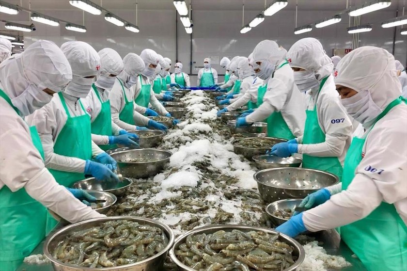 Mỹ đang là thị trường xuất khẩu thủy sản lớn nhất của Việt Nam ảnh 1