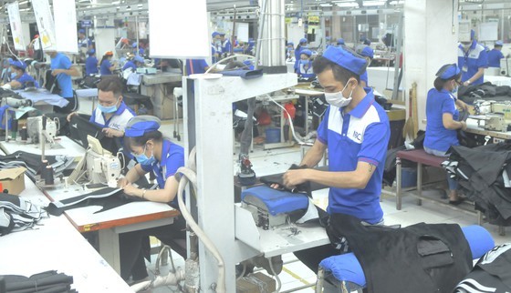 Supporting industry makes effort to gain autonomy ảnh 1