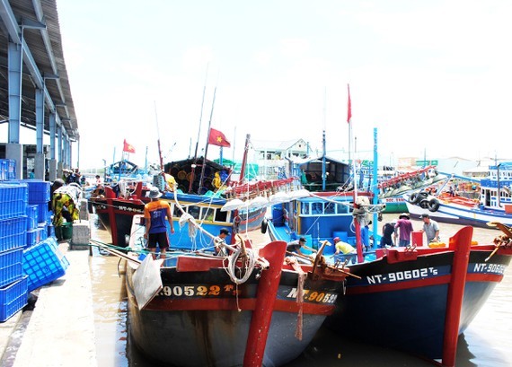 Mekong Delta provinces promote development of fishery logistics services ảnh 1