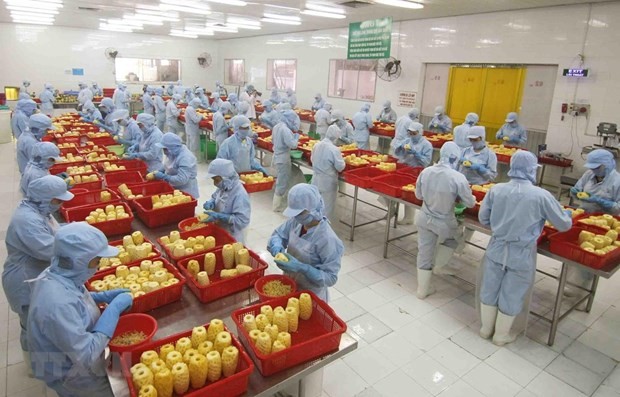 Manufacturing and processing sector playing key role in FDI attraction ảnh 1