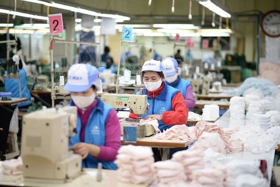 Local textile manufacturer supplies 300,000-400,000 face masks per day ảnh 2