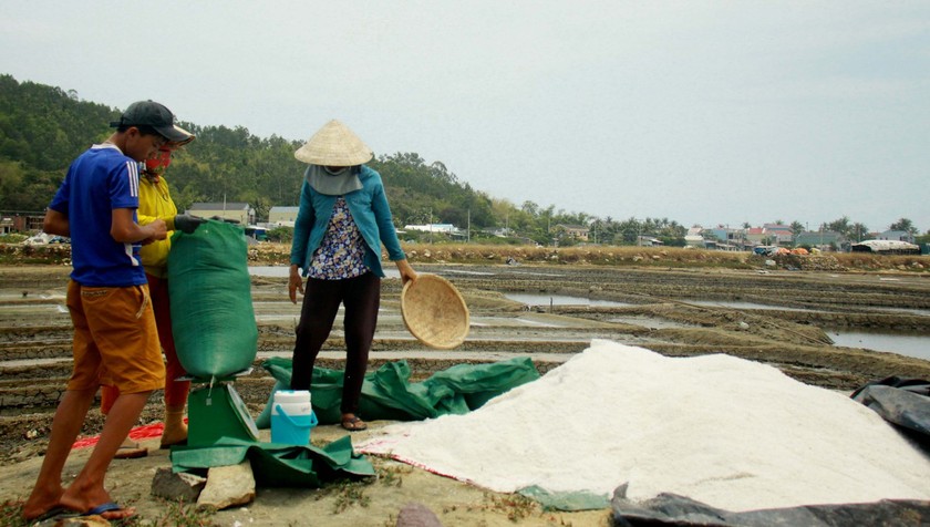 Sa Huynh salt farmers endure falling prices ảnh 1