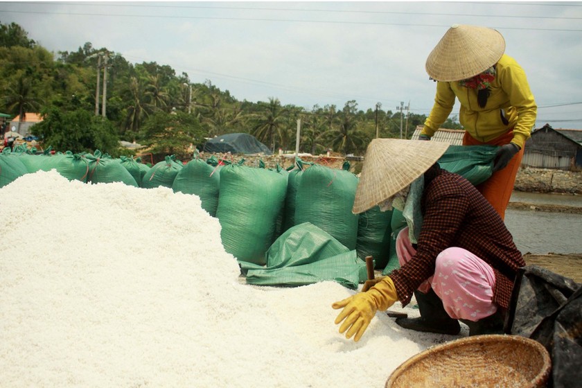 Sa Huynh salt farmers endure falling prices ảnh 3