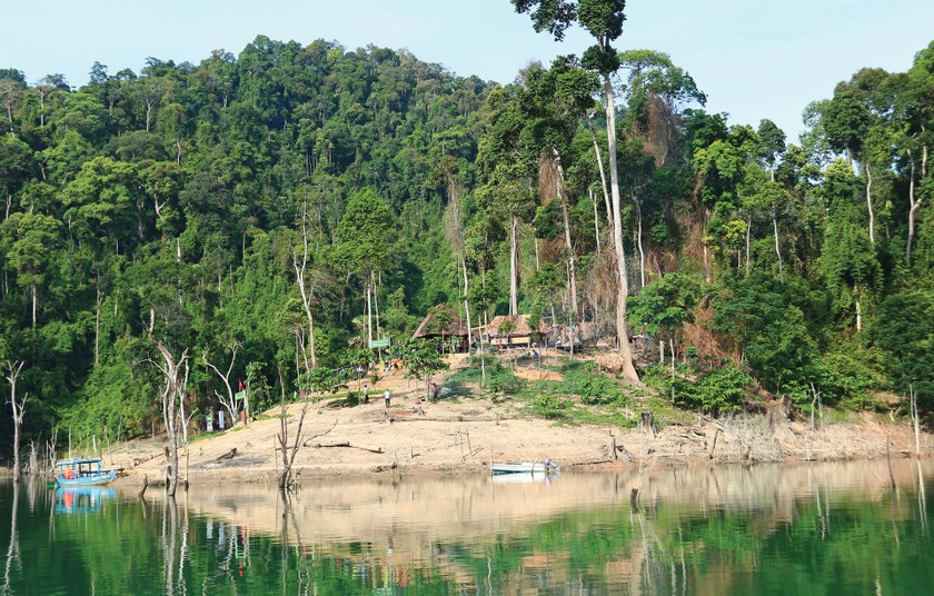 Quang Nam Province plans to turn Song Thanh Nature Reserve into national park ảnh 2