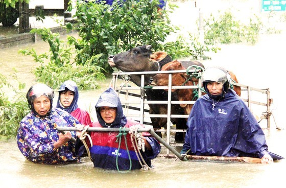 People nationwide extends solidarity with flood victims ảnh 1