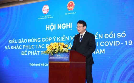 HCMC collects OVs’ opinions on digital transformation, economic development ảnh 12