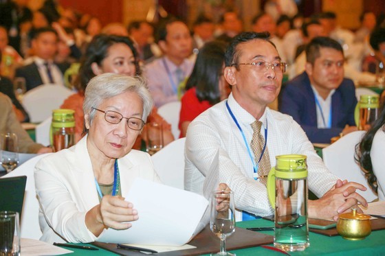 HCMC collects OVs’ opinions on digital transformation, economic development ảnh 2