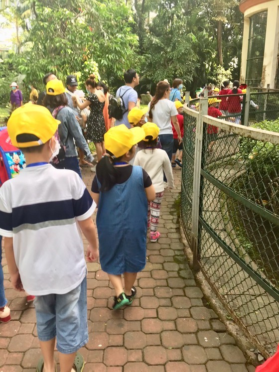 HCMC offers 5,000 free short trips to disadvantaged children, adults ảnh 2