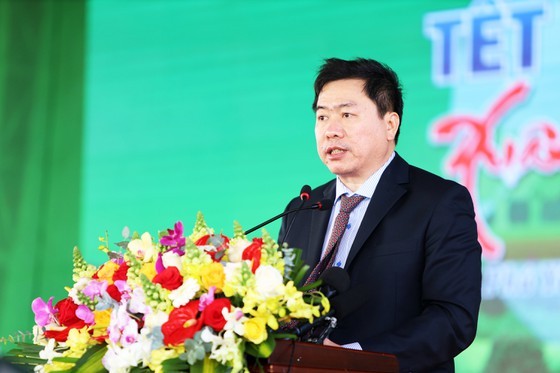 Phu Yen to be listed in country’s top tree-covered localities: PM ảnh 2