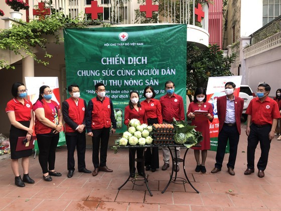Campaign launched to “rescue” farm produce in COVID-19 hotspot of Hai Duong ảnh 1