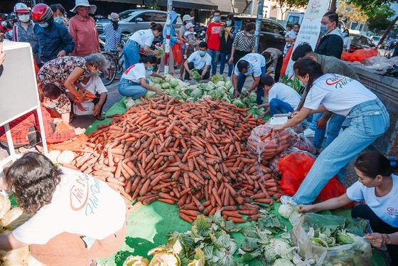 Beauty queens join produce 'rescue' campaign to help farmers in affected area ảnh 2