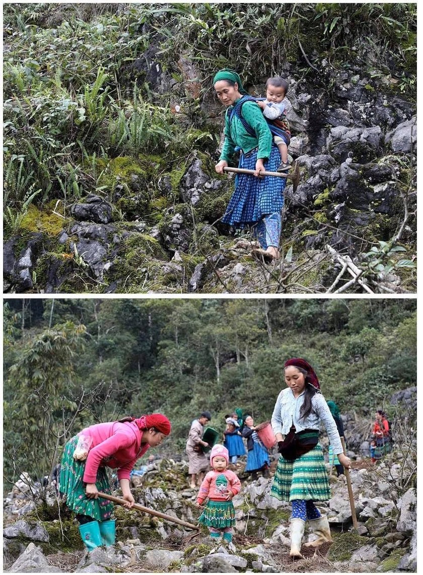 Beauty of women in Ha Giang Province’s plateau of rocks ảnh 9