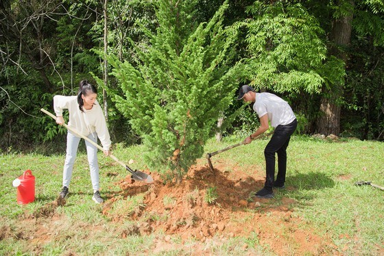 Beauty queens participate in 50-million tree planting campaign in Lam Dong ảnh 2