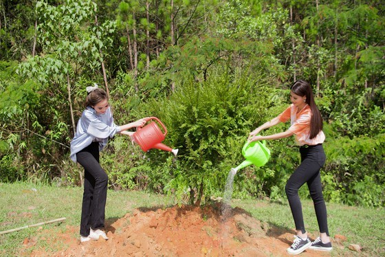 Beauty queens participate in 50-million tree planting campaign in Lam Dong ảnh 3