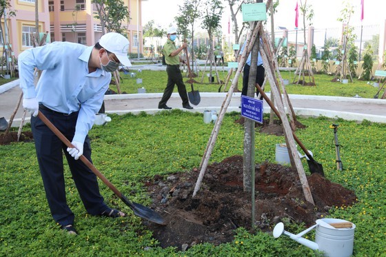 Tree-planting campaign launched in HCMC to mark Uncle Ho’s birthday ảnh 1