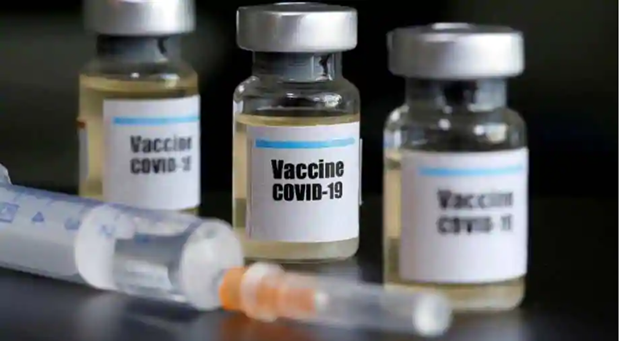 Top legislator asks for EU's support in accessing COVID-19 vaccines ảnh 1