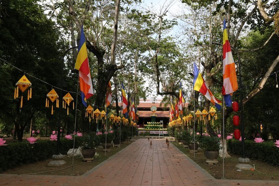 Week-long festival celebrating Buddha's birthday opens in Hue ảnh 30