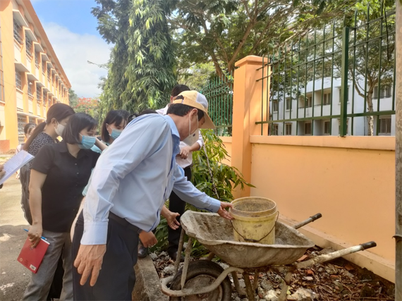 HCMC witnesses continuous jump in cases of HFMD, dengue fever ảnh 1