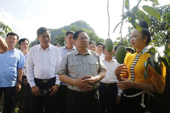 PM makes field trip to major projects in Son La ảnh 5
